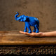 Appu The Elephant - Peacock Life by Shabnam Gupta